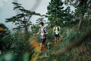 BIB: 
                            <button type="button" onclick="openModal(25259766)" class="btn btn-primary btn-sm float-right btn-popup" data-toggle="modal" data-target=".modal-high-quality">
                        <i class="fas fa-shopping-cart"></i> Add to Cart
                    </button>
                                            <button type="button" onclick="isThisMe(25259766, true)" class="btn btn-success btn-sm float-right btn-popup btn-isme hidden" data-toggle="tooltip" data-placement="bottom" title="นี่คือรูปของคุณใช่ไหม คลิกที่นี่เพื่อเอาเข้าอัลบั้ม">
                        <i class="fas fa-plus"></i> Add to album
                    </button>
                    <button type="button" onclick="isThisMe(25259766, false)" class="btn btn-warning btn-sm float-right btn-popup btn-isnotme hidden">
                        <i class="fas fa-ban"></i> Remove from album
                    </button>